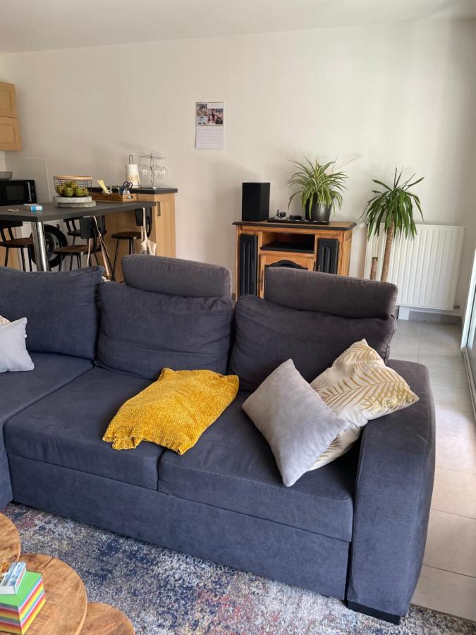 Appartement Avec Terrasse Proche De Rennes Saint-Jacques-de-la-Lande Exterior foto